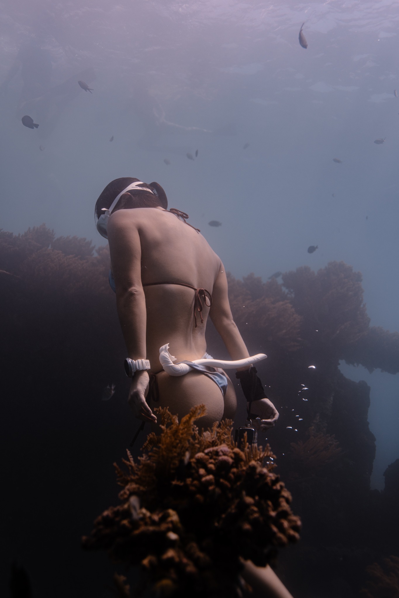 Freediver over coral reef