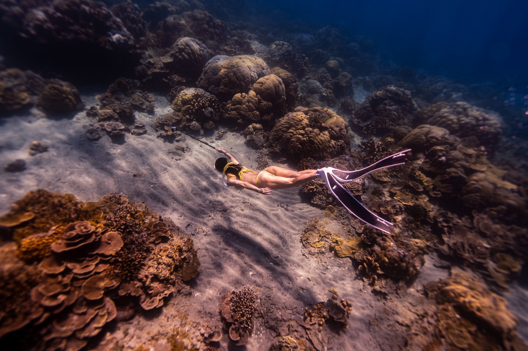 Freediving above coral reef